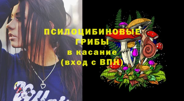 синтетический гашиш Богородицк