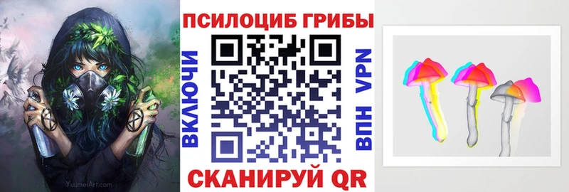 Галлюциногенные грибы Psilocybine cubensis  Абакан 